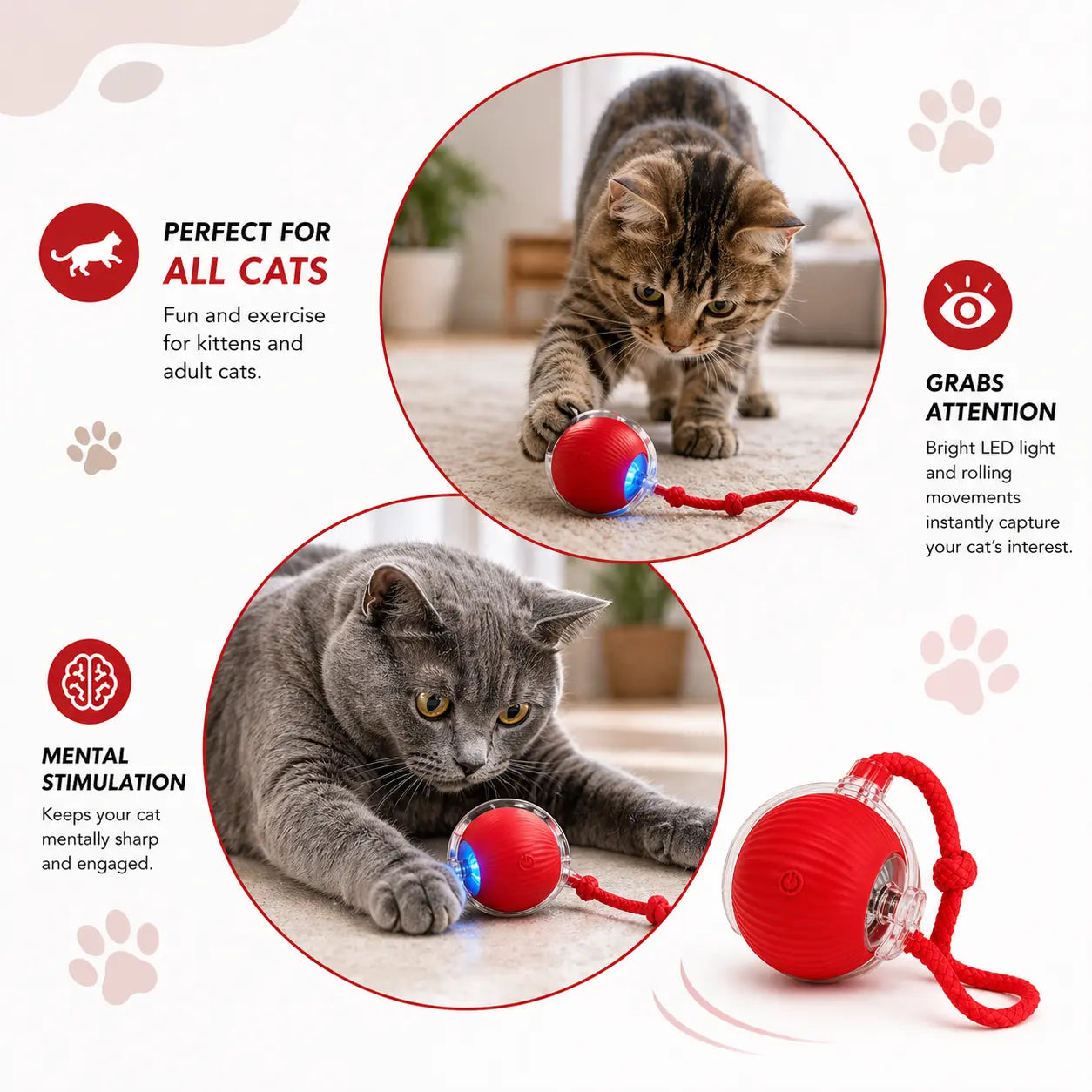 SmartBall™ – Interactive Cat Toy Velmoura